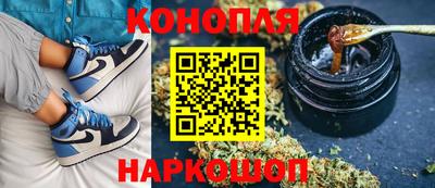 индика Малгобек
