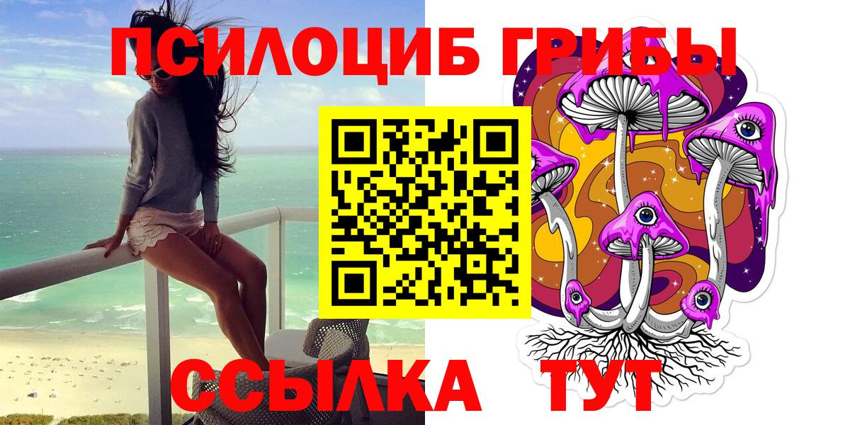 Удомля  Галлюциногенные грибы Magic Shrooms  Вход с VPN 